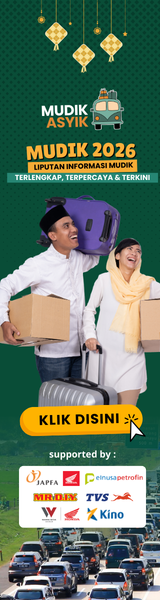 Disway Mudik Artikel Wing Left