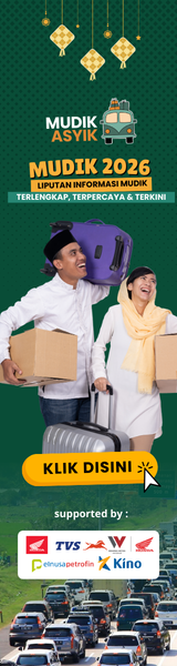 Disway Mudik Wing left