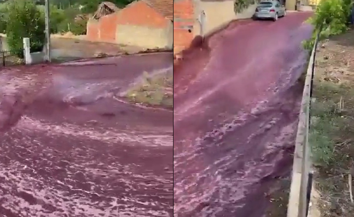 2,2 Juta Liter Wine Jebol dari Tangki Pabrik, Satu Kota Banjir Anggur Merah