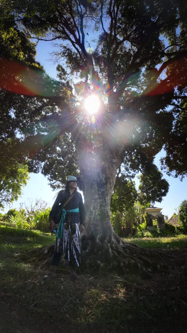 Menengok Pohon Leci yang Ditanam Bung Karno di Puri Tampaksiring