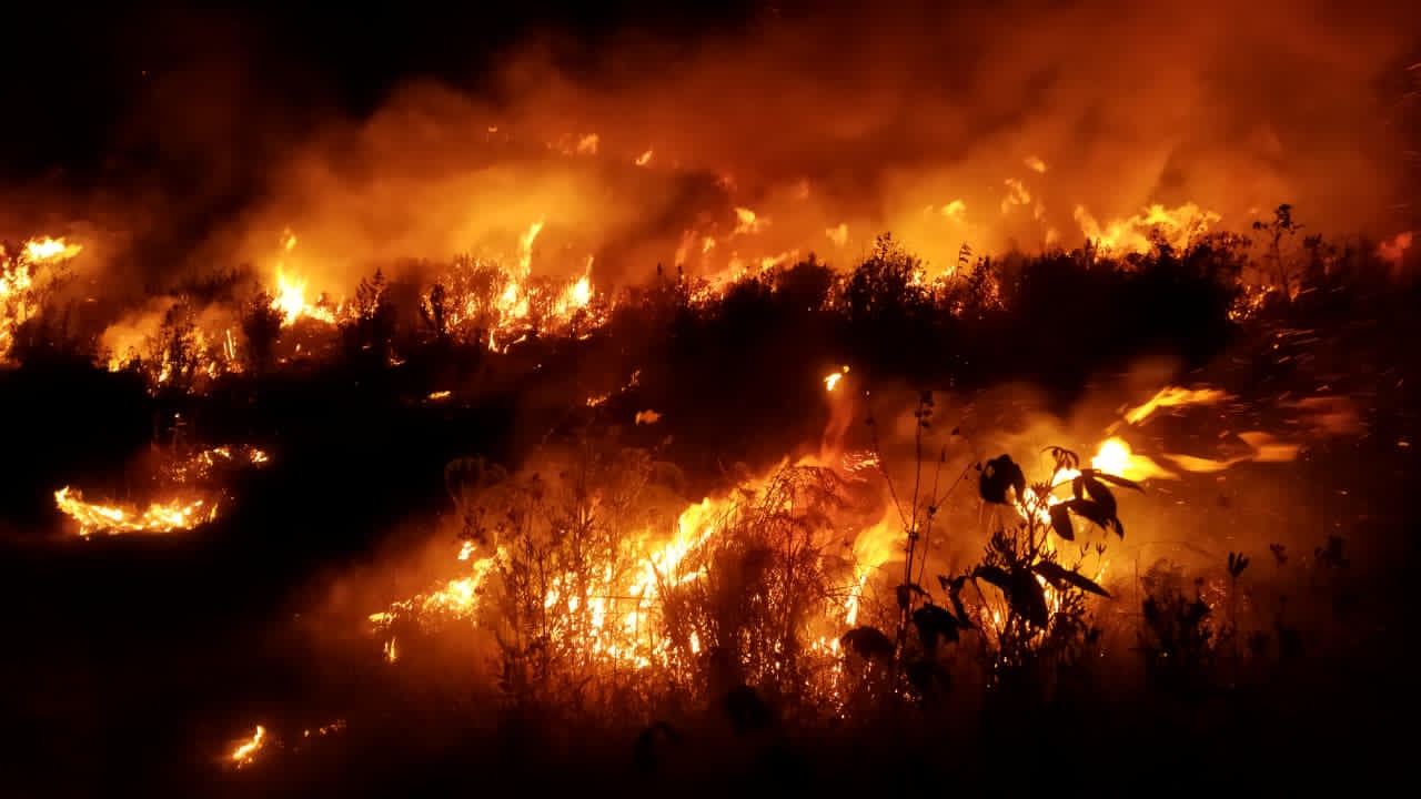 Kebakaran Bromo Meluas hingga 196 Hektare, Api Merembet ke B30, 3 Helikopter Water Bombing Dikerahkan
