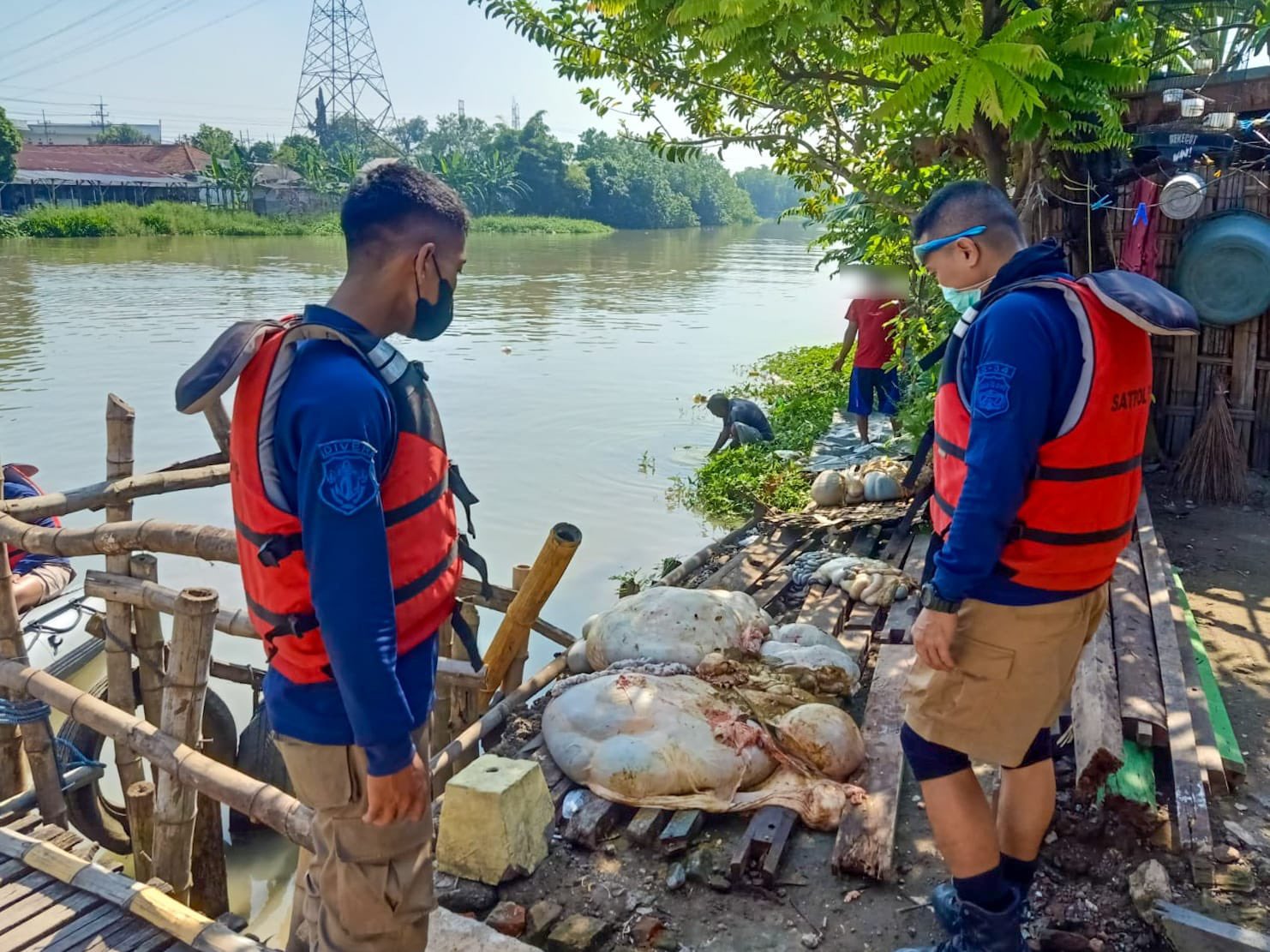 Ketika PDAM Ikut Kampanye Potong Kurban di RPH Surya, Demi Kebersihan Sungai
