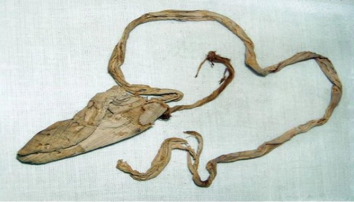 Arkeolog Ungkap Fakta Mengejutkan dari Kondom di Makam Firaun, Ada Campuran Kotoran Buaya?
