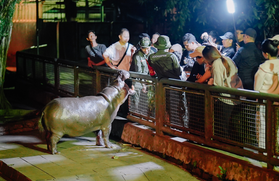 Warga Antusias Nikmati Wisata Malam di Ragunan, Rutin Buka Tiap Sabtu