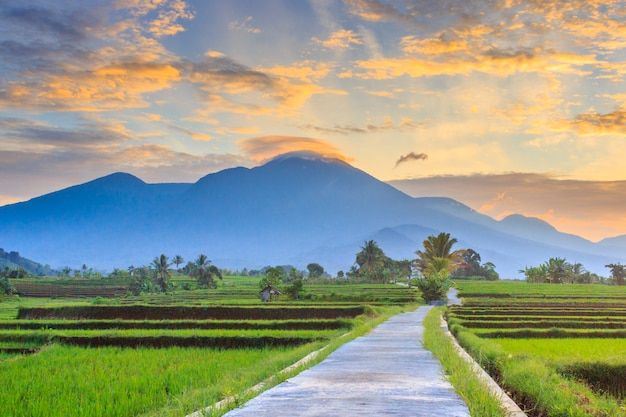 4 Alasan Mengapa Hidup di Pedesaan Lebih Baik daripada di Perkotaan