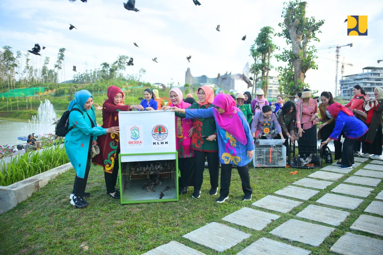 Iriana, Wury Ma'ruf Amin dan Ibu-Ibu Kabinet KIM Lepaskan 300 Burung Liar di IKN 