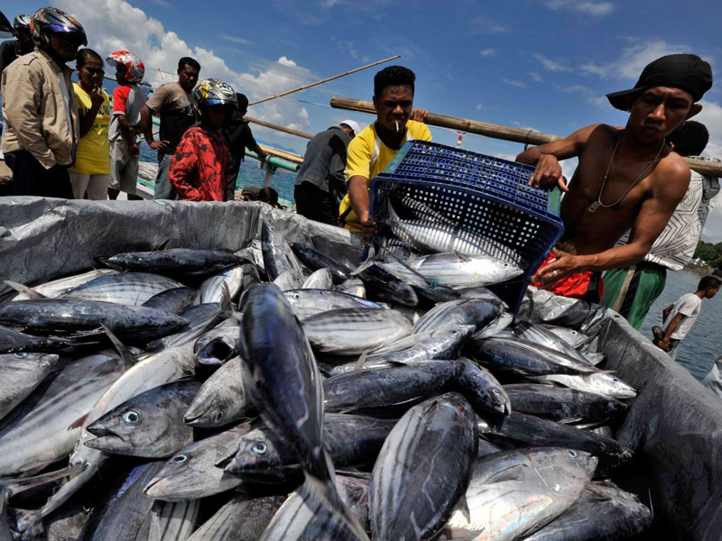 Stok Ikan Selama Ramadan hingga Lebaran Surplus o,36 Juta Ton