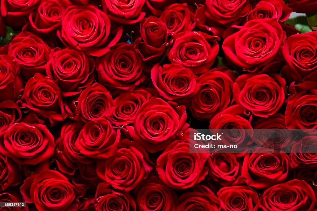 Bunga Layu? No Way! Ragam Mawar Artificial yang Jadi Tren 14 Februari