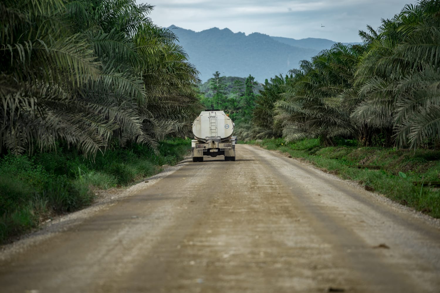 Program Biodiesel Efektif Tekan Impor BBM dan Perbaiki Neraca Perdagangan Energi
