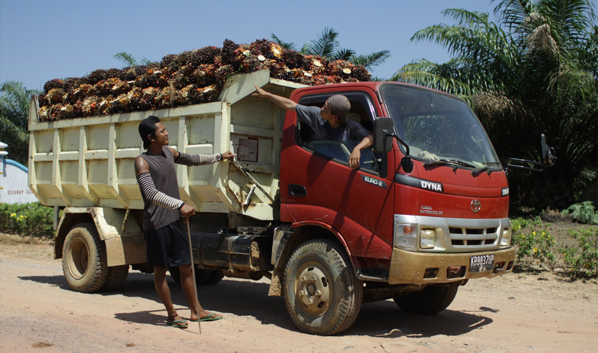 PalmCo Serap 3.25 Juta Ton TBS Petani Sepanjang 2025
