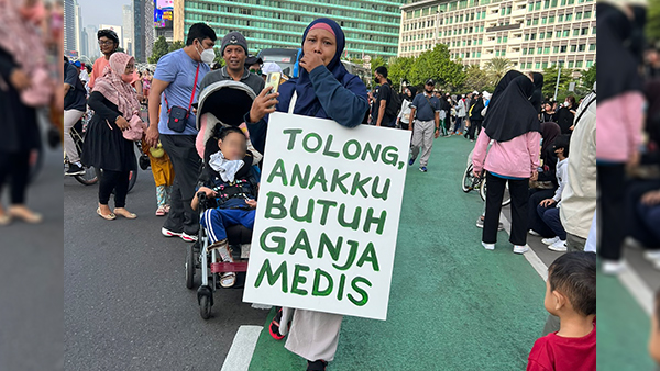 DPR Akan Kaji Legalisasi Ganja Medis di Indonesia Setelah Viral Ibu Minta Ganja Medis untuk Anaknya