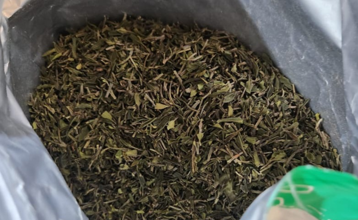 Bea Cukai Soetta Gagalkan Penyelundupan Sabu Seberat 1,8 Kg hingga Cathinone 3,8 Kg 