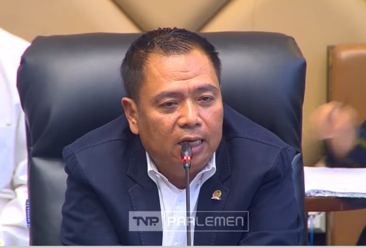 Ringankan Beban Ekonomi Pemudik, DPR Minta Harga Tiket Pesawat Lebih Terjangkau