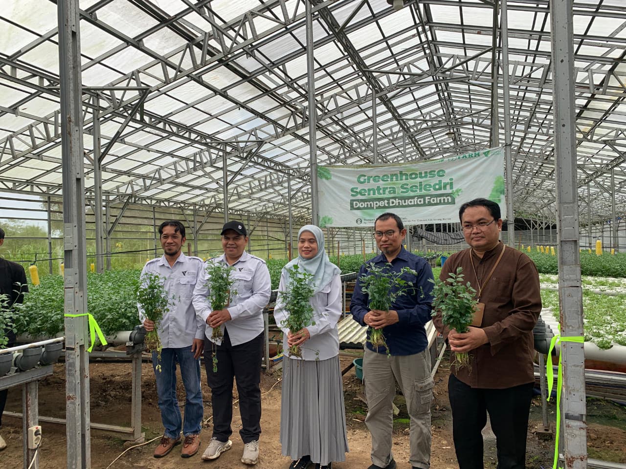 Panen Raya Seledri Hidroponik, UPZDK PermataBank Syariah Bersama Dompet Dhuafa Dorong Kemandirian Ekonomi