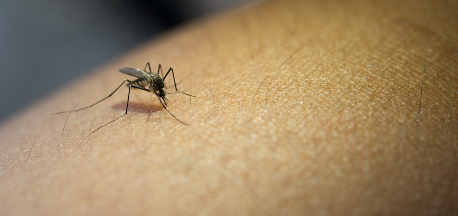 Indonesia Penyumbang Kasus Malaria Terbesar Kedua di Asia, Nomor Satunya... 