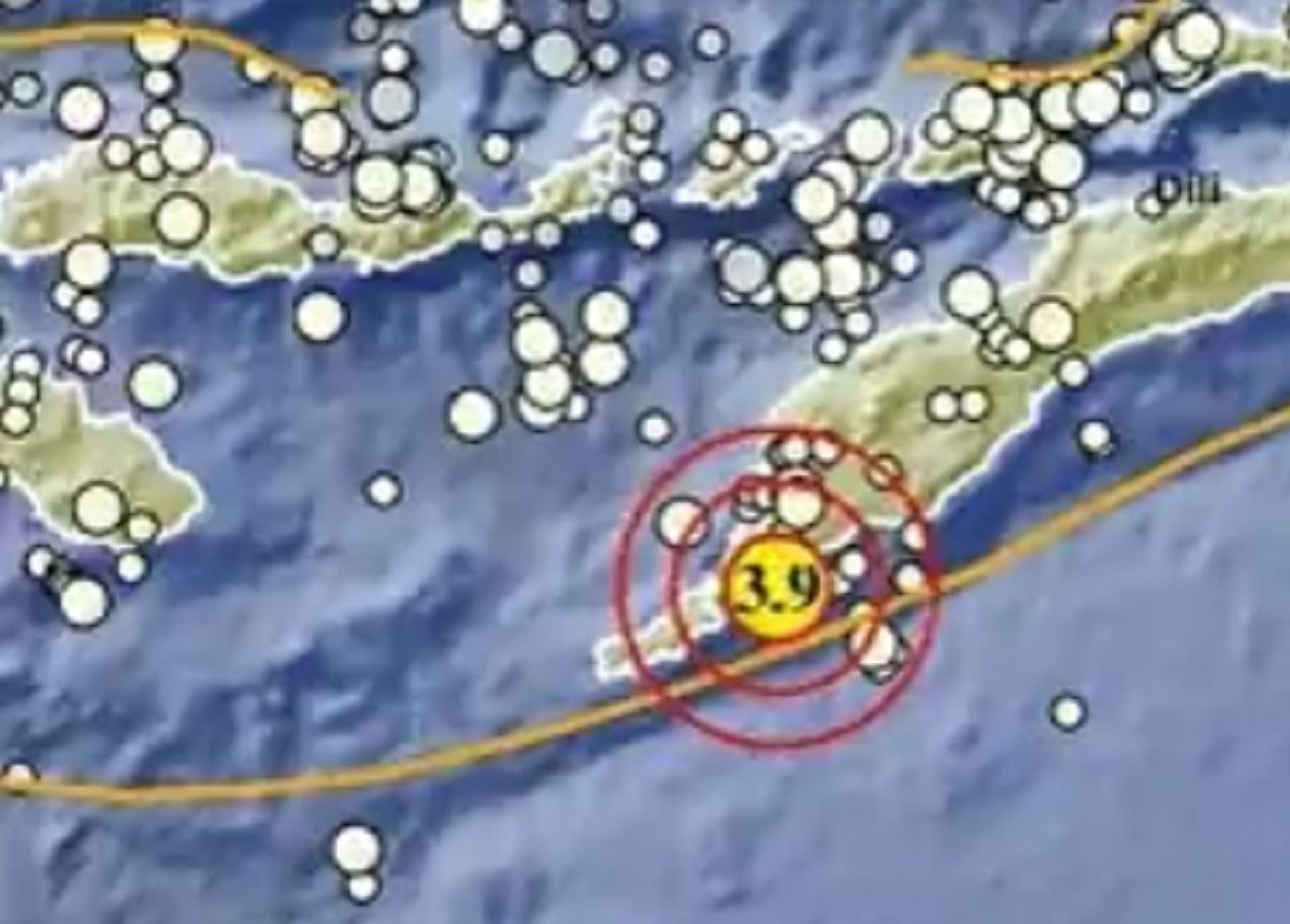 Gempa Bumi Guncang Kupang NTT Pagi Ini Berkekuatan M 3,9