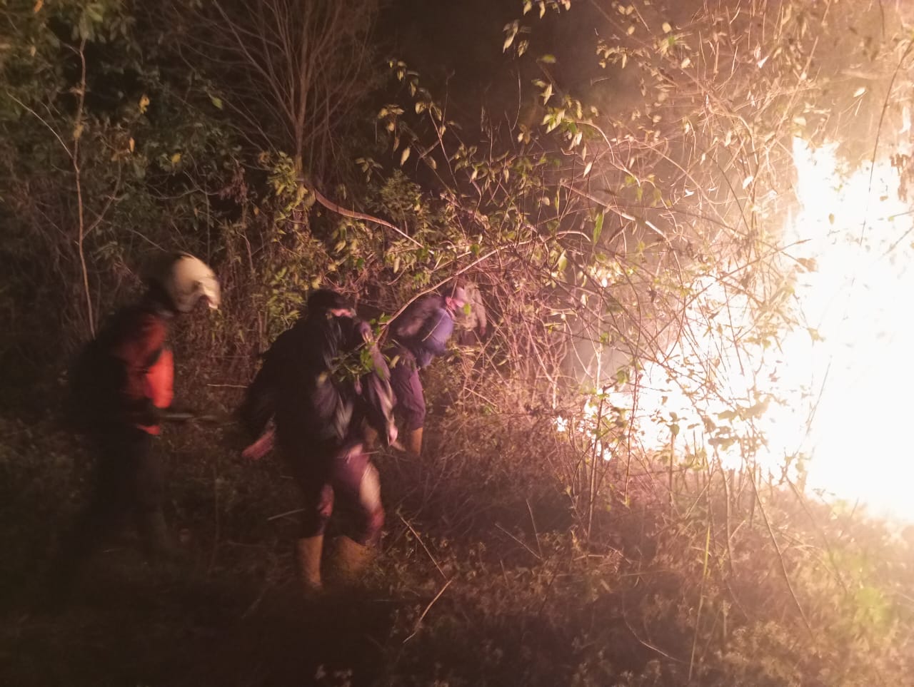 Karhutla di Jawa Masih Terus Terjadi: BPBD dan Damkar Semarang Pontang-Panting Padamkan Api dari Merbabu Sampai Sepakung