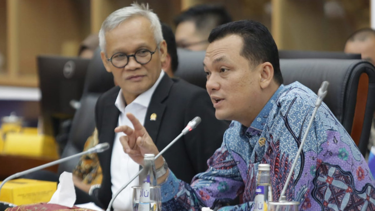 Komisi VI DPR RI Dukung Usulan PMN PLN untuk Program Listrik Desa