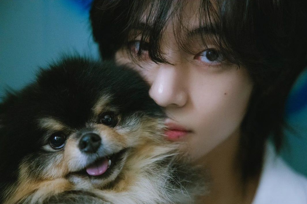 V BTS Umumkan Kabar Duka, Yeontan Anjing Kesayangannya Mati