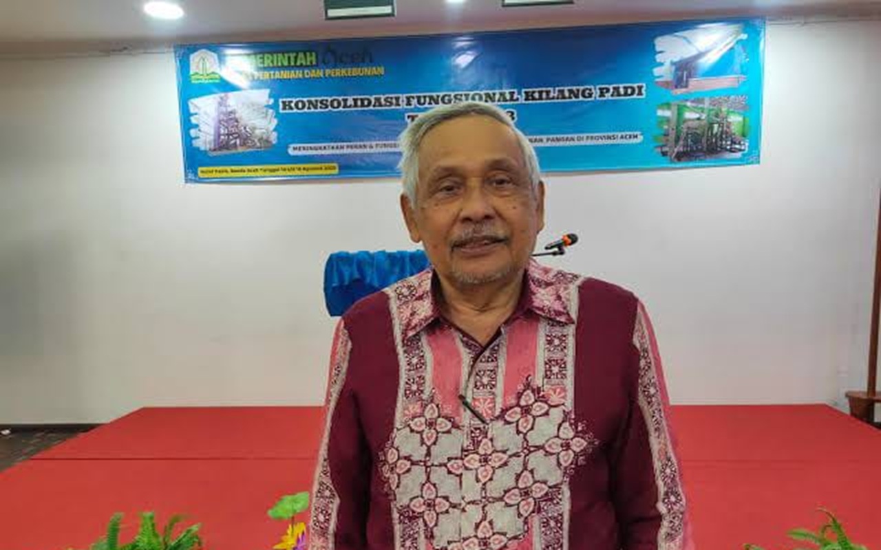 Ketua PERPADI Ungkap Dampak Tekanan Ekonomi Global terhadap Pasokan dan Harga Beras