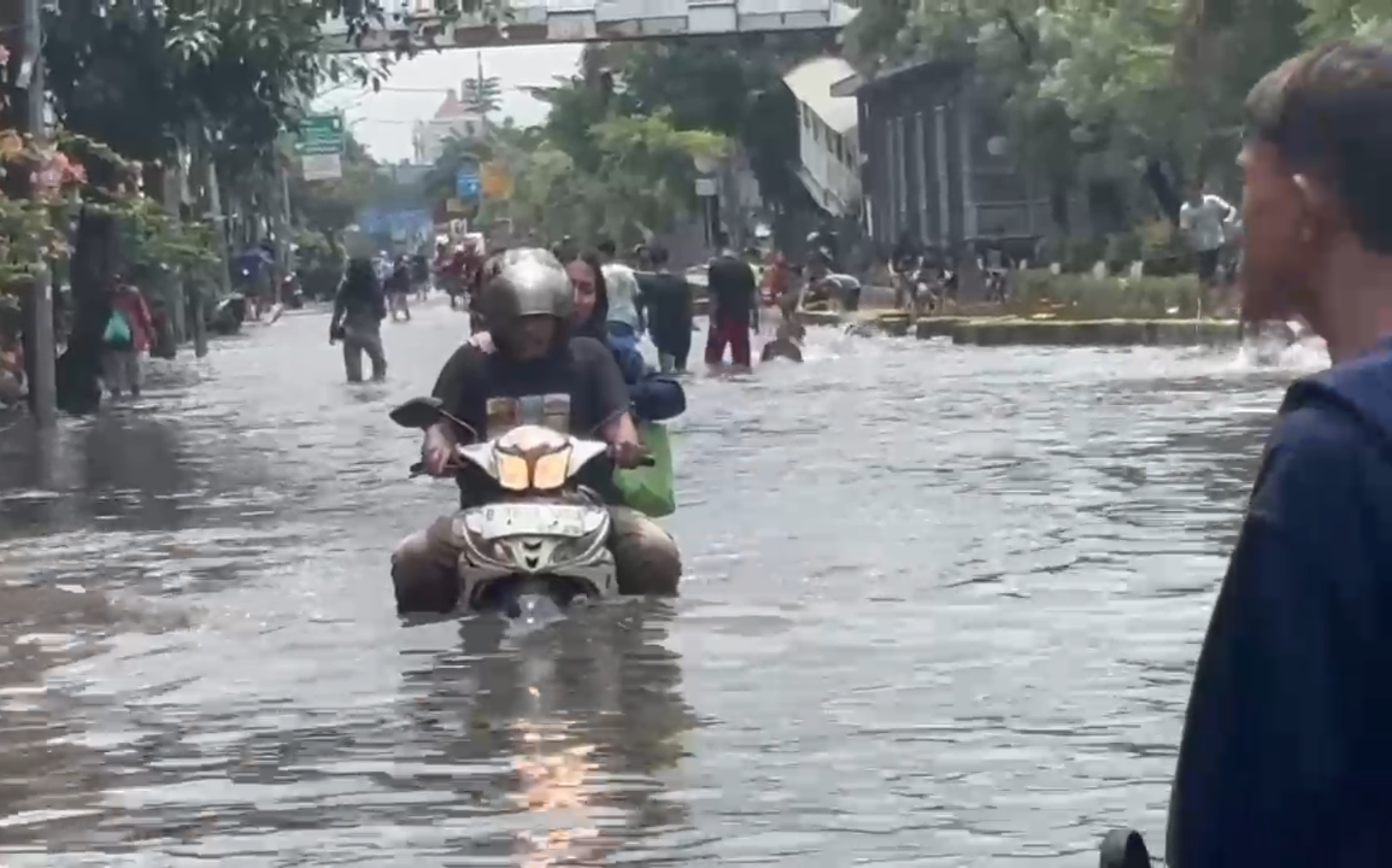 Update Banjir Jakarta Terkini: 35 RT Terendam, Ini Wilayah-wilayah Paling Parah Terdampak
