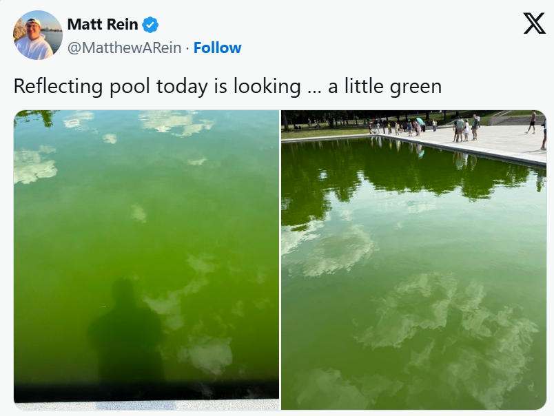 Lincoln Memorial Pool Menghijau Karena Alga, Netizen Samakan dengan Game Fallout 3 