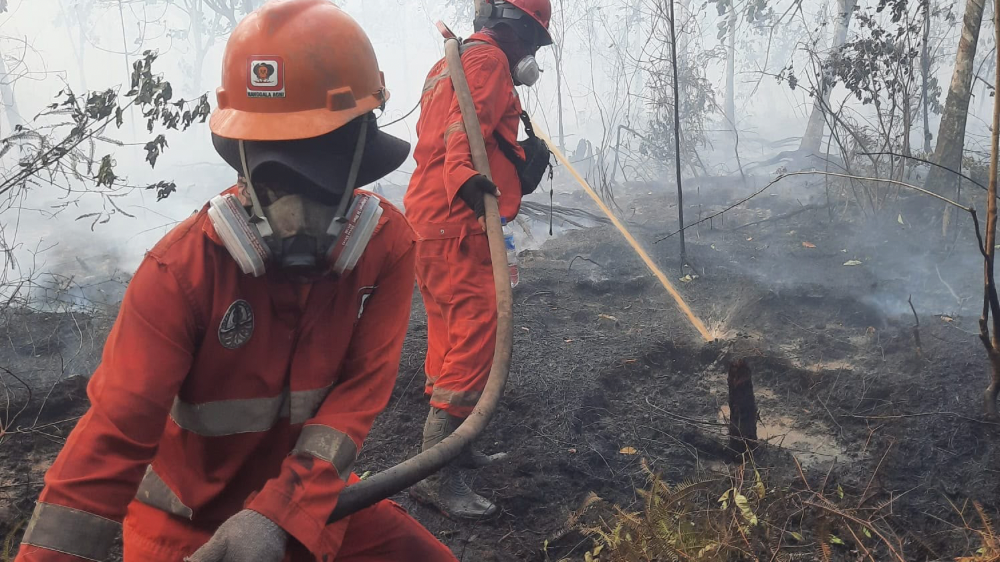 Atasi Karhutla Kalimantan, Pemerintah Optimalkan OMC dan Tambah Armada Udara