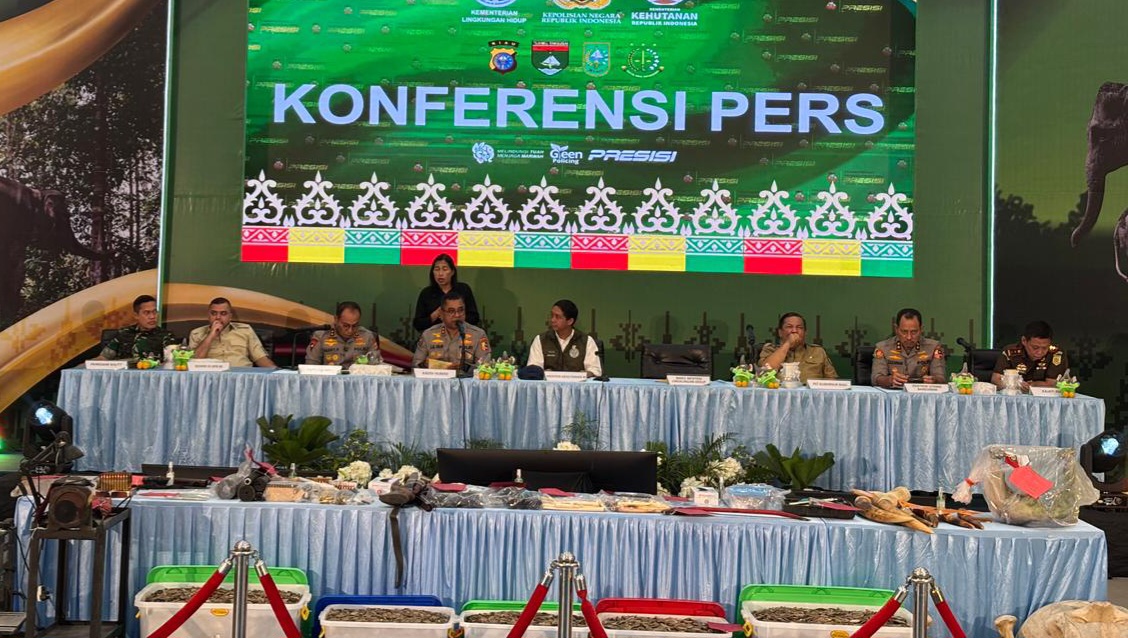 Polda Riau Bongkar Sindikat Perburuan Gajah Sumatera, 15 Tersangka Ditangkap dan 3 DPO