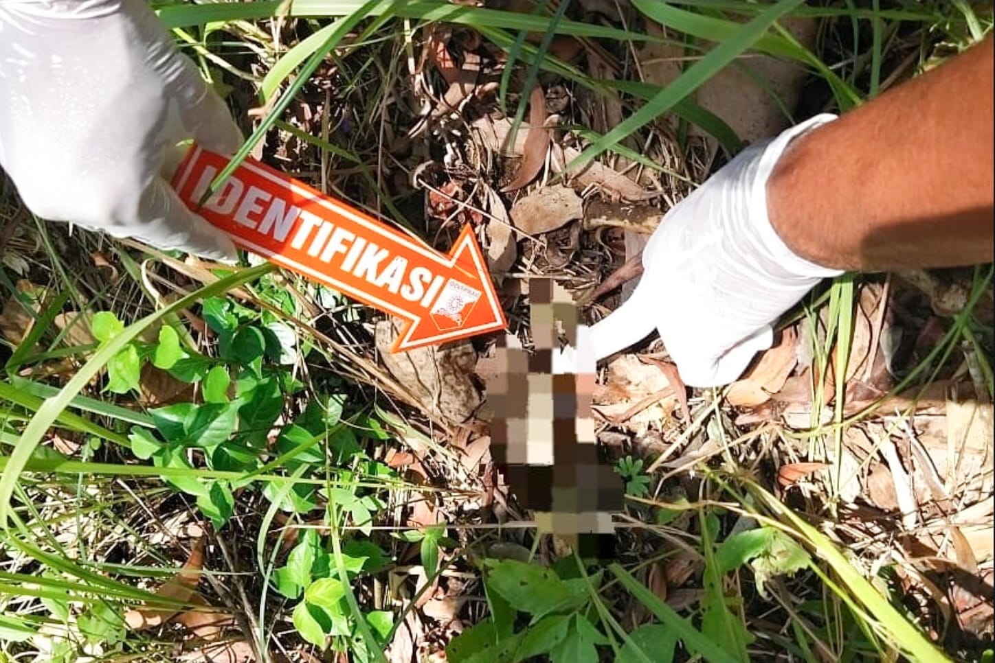 Geger! Warga Sidomulyo Tulungagung Temukan Tulang Belulang di Pegunungan