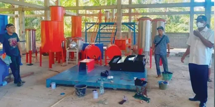 Keren! Desa di Bengkulu Selatan Bikin Pabrik Minyak Goreng Sendiri, Mampu Olah 10 Ton Kelapa Sawit