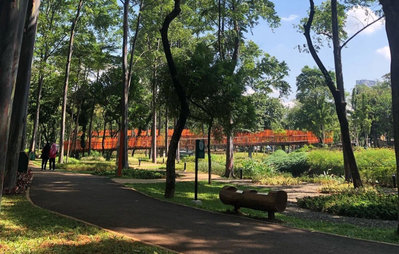 Satpol PP DKI Jakarta Bakal Tertibkan Komunitas Fotografer Arogan di Tebet Eco Park dan CFD