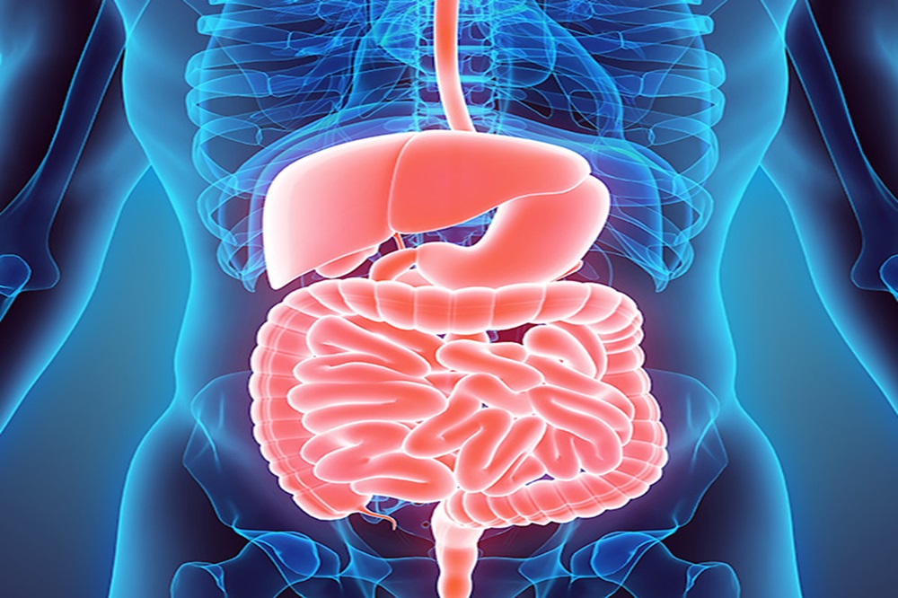 Mengenal EUS-RFA, Pengobatan Tumor Gastrointestinal pada Sistem Pencernaan 