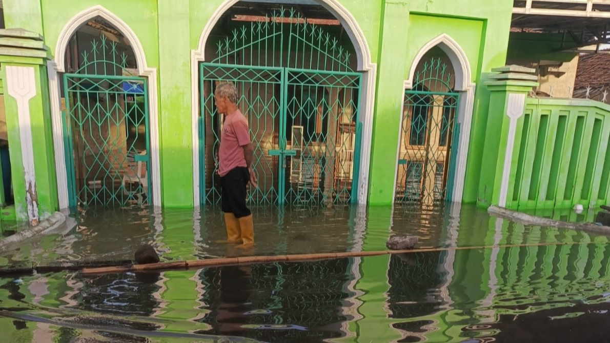 Banjir Rob 1,1 Meter Terjang Indramayu, Ribuan Rumah dan Sawah Terendam