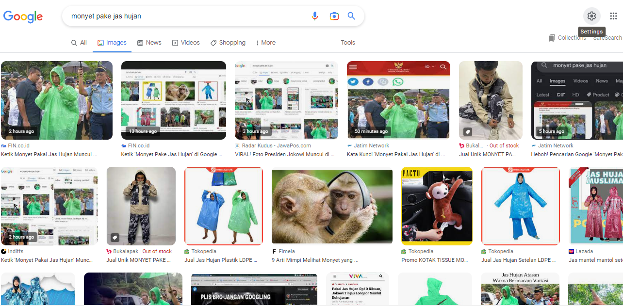 Viral! Ketik 'Monyet Pakai Jas Hujan' di Google, yang Muncul Justru Foto Jokowi, Kok Bisa?