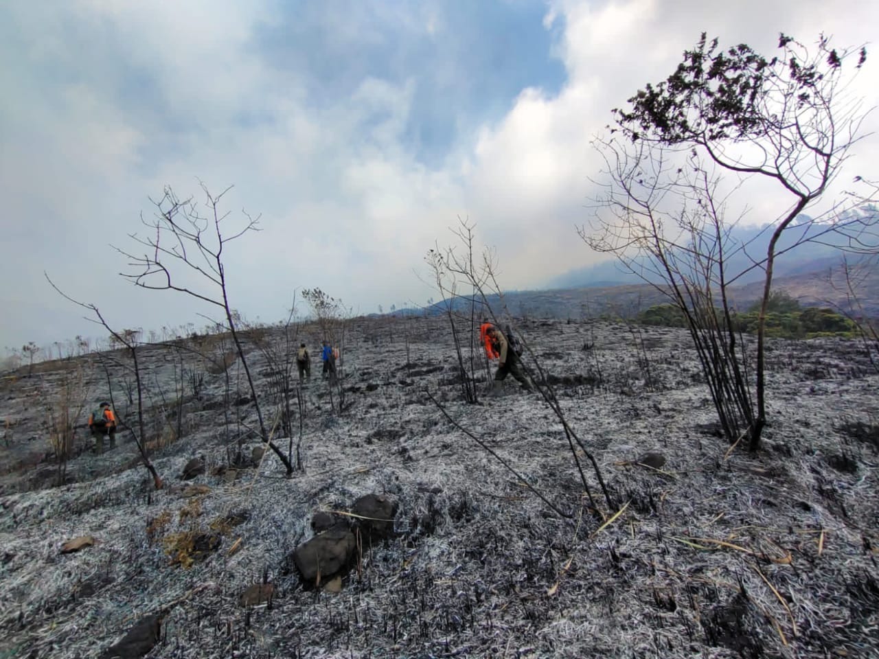 Jawa Dilanda Karhutla: Setelah Ciremai, Giliran Lereng Gunung Arjuno Terbakar