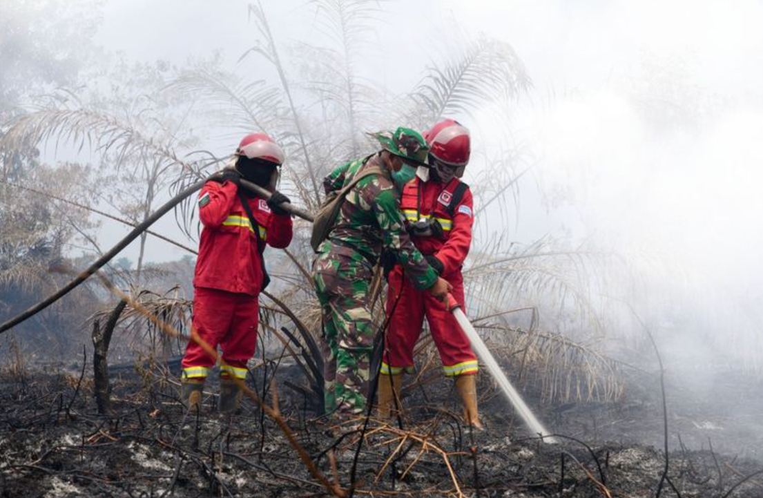 Karhutla Bikin Resah Negara Tetangga, Puluhan Helikopter dan Pesawat Dikerahkan ke Sumatera-Kalimantan