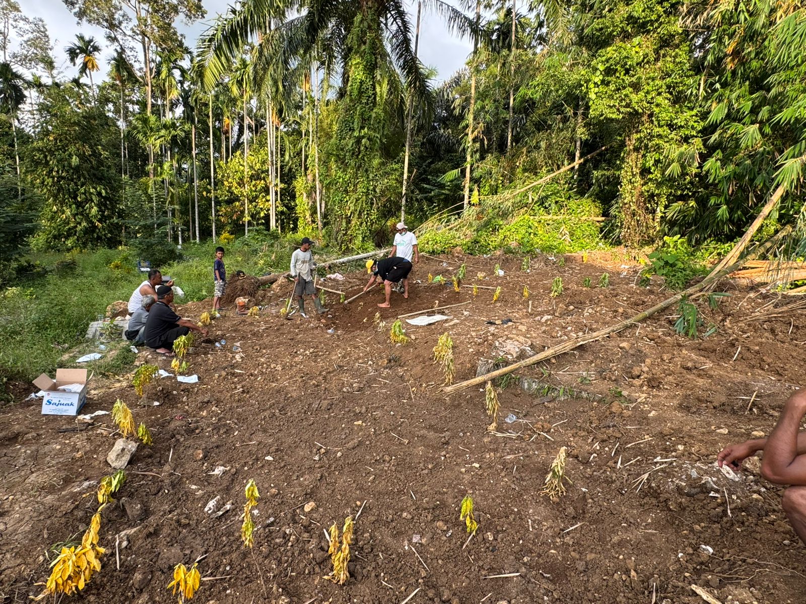 Kuburan Massal Korban Galodo di Agam, Ada Jenazah Tanpa Kepala hingga Puluhan Tak Diketahui Identitasnya