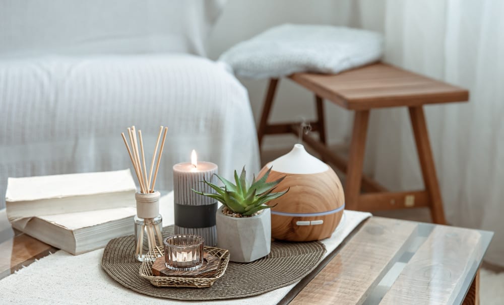 Perbedaan Humidifier, Air Purifier, dan Diffuser untuk Menjaga Kualitas Udara