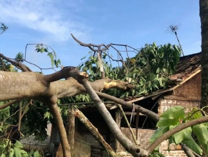 93 Rumah Warga Lebak Rusak Diamuk Puting Beliung, Bermula Awan Pekat Disertai Hujan di Gunung Kencana 