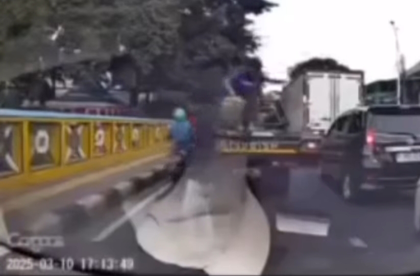 Viral Bajing Loncat di Koja Bikin Resah Pengendara Pick Up, Pelaku Berhasil Teridentifikasi
