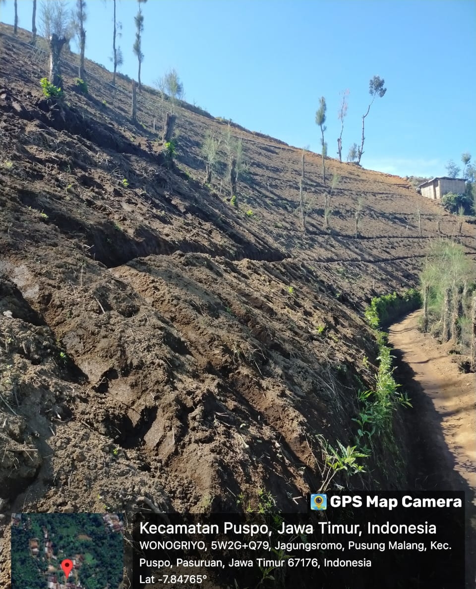 Makin Banyak Hutan di Lereng Bromo Jadi Perkebunan, Bupati Pasuruan Minta Bantuan Bibit Pohon ke PTPN