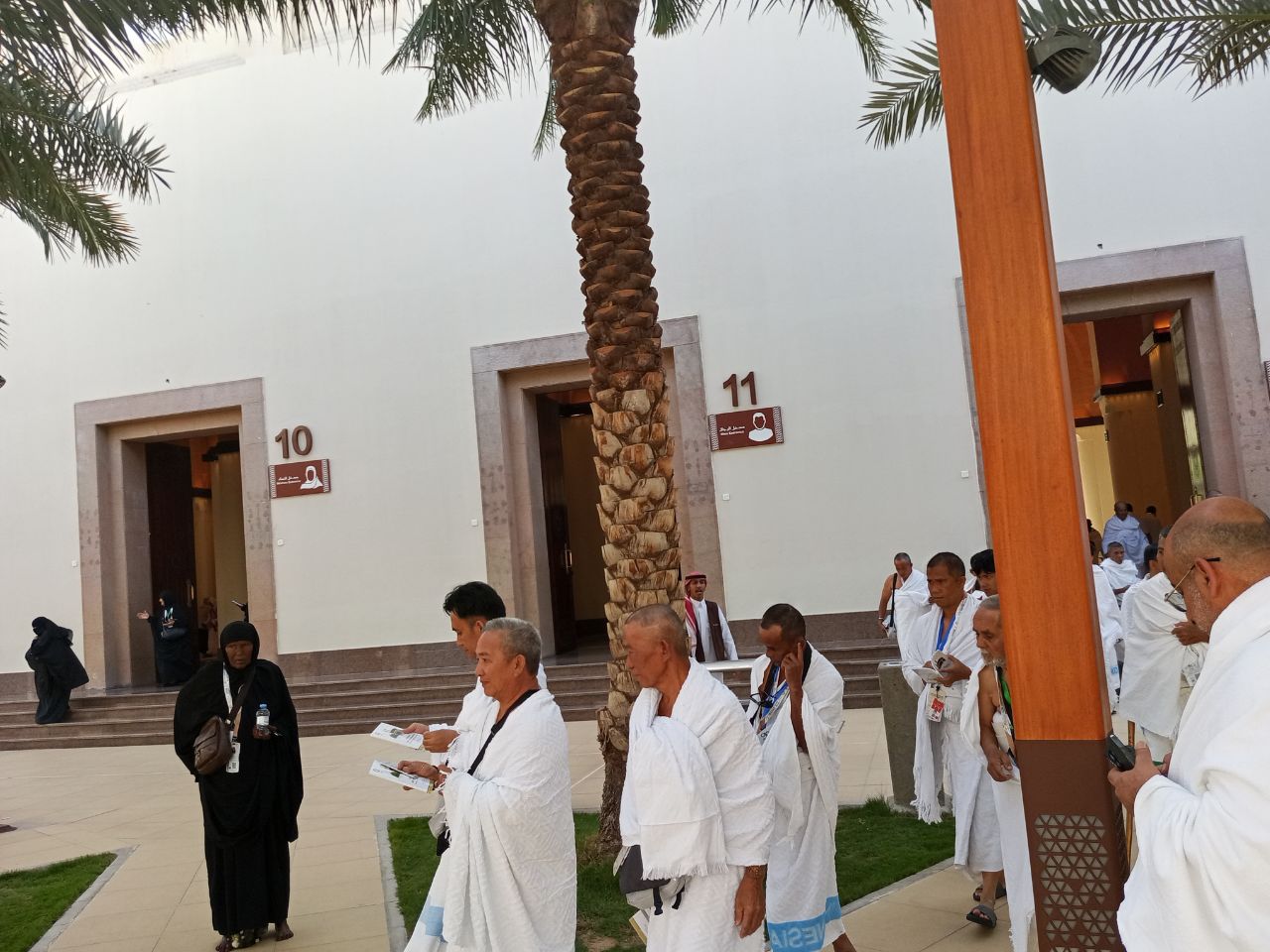 Pergeseran Jemaah Haji dari Madinah Tinggal 2 Hari Lagi, 241 Kloter Sudah Lewat Bir Ali