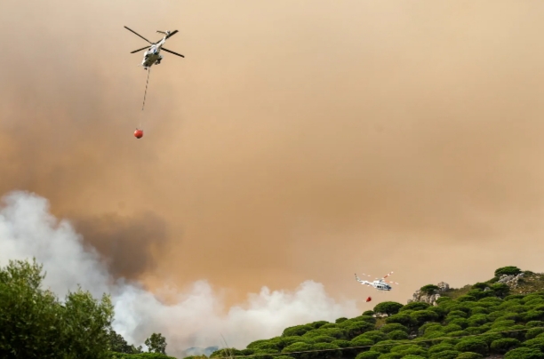 Kebakaran Hebat di Spanyol, Ribuan Hektare Lahan Terbakar hingga Warga Mengungsi