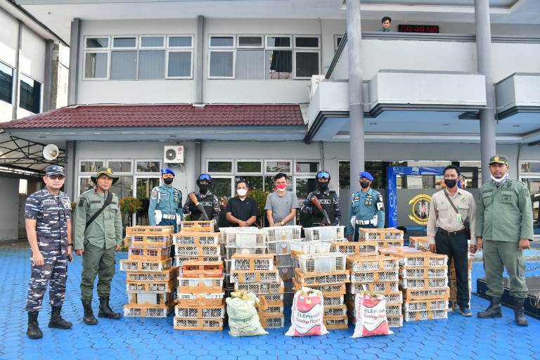 Pengiriman Satwa Ilegal Digagalkan Lanal Banjarmasin