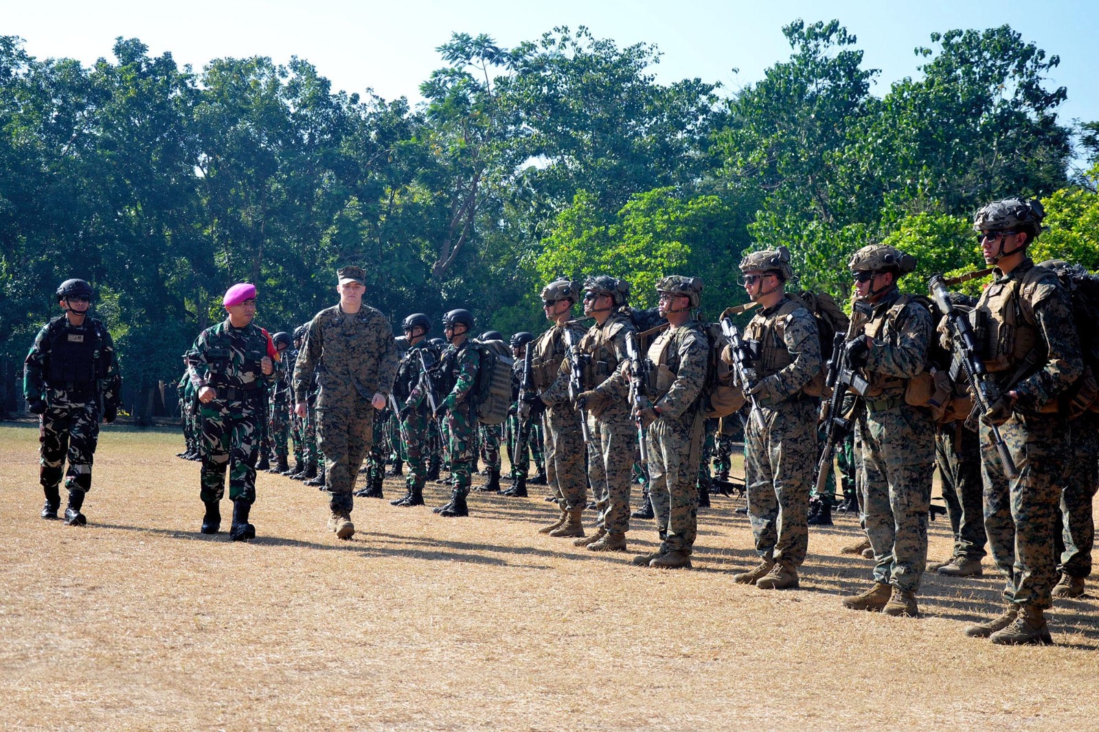 Siap Berlatih dan Bertempur, Danyonif 1 Marinir Buka Latihan Platoon Exchange 2024