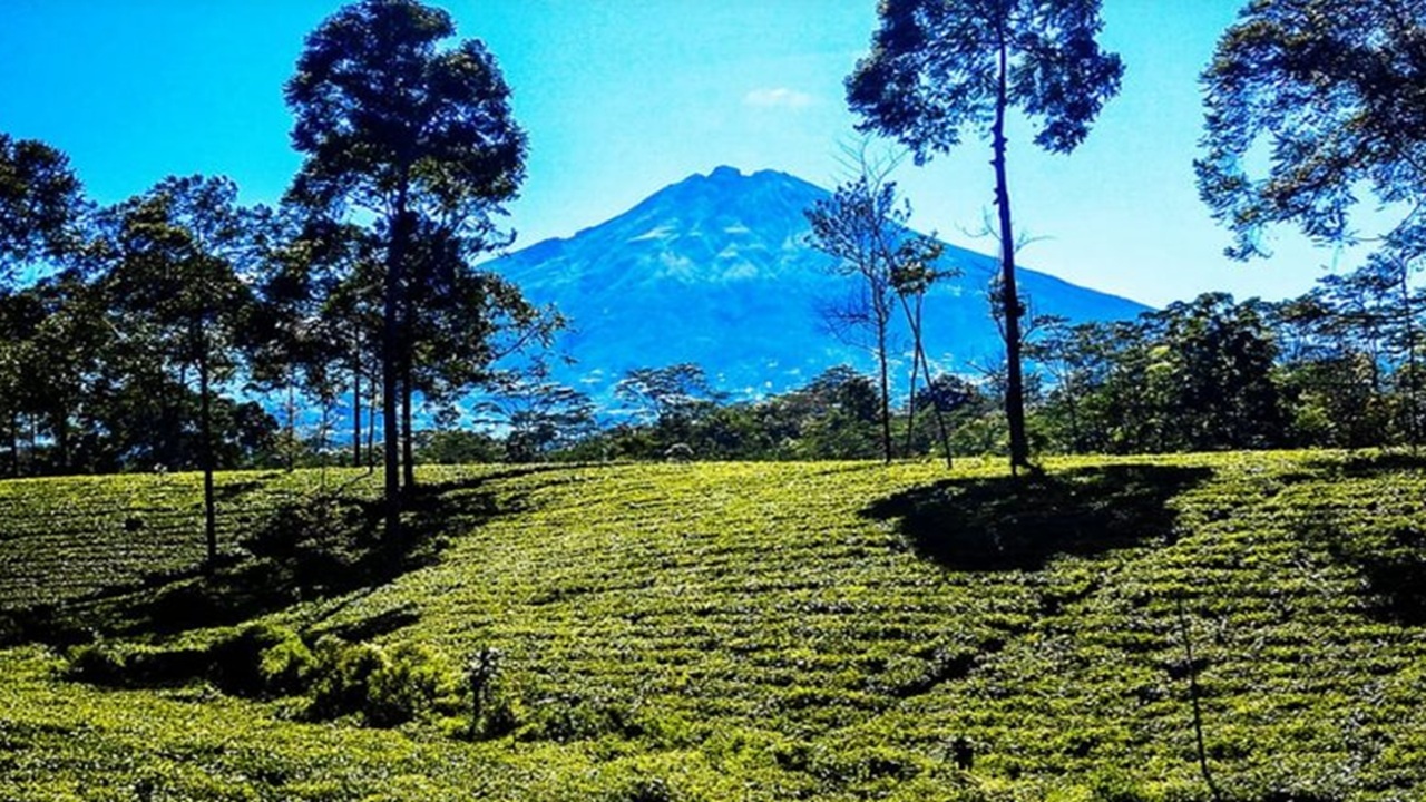 5 Destinasi Wisata Menarik di Wonosobo Selama Libur Sekolah 2025, Yuk Healing!