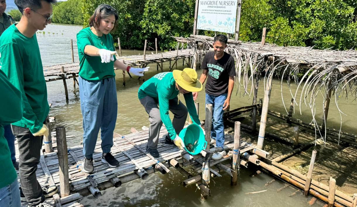 MPMX Kembali Tanam Puluhan Ribu Bibit Mangrove di NTT: Langkah Konkret Lestarikan Lingkungan