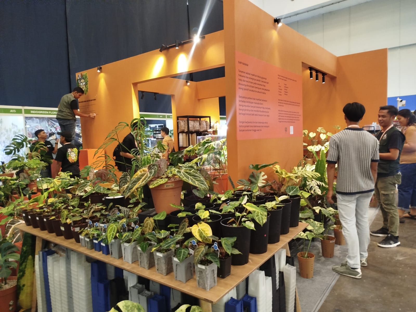 Merapat Bunda! Ribuan Koleksi Tanaman Hias Dunia Ada di FLOII Expo 2025, Anggrek hingga Bonsai Langka