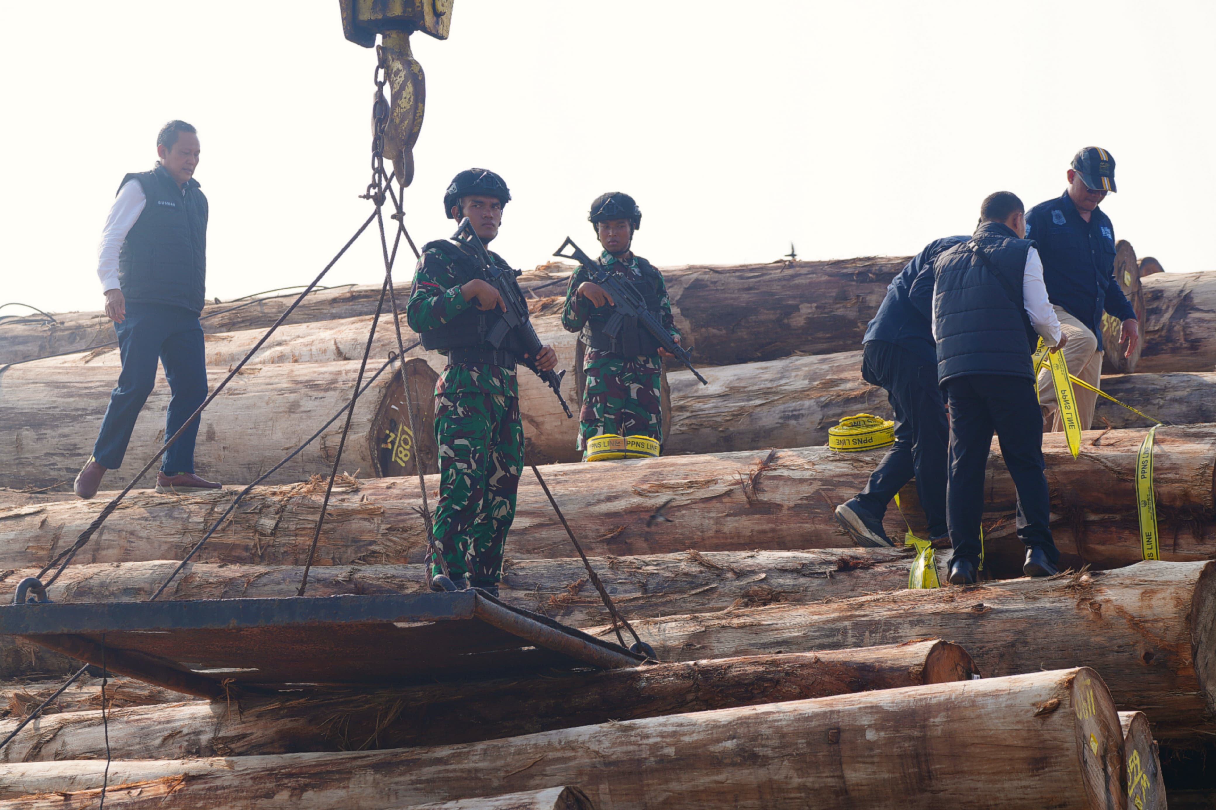 Satgas PKH Bongkar Jaringan Ilegal Logging di Gresik, Negara Rugi Rp239 Miliar