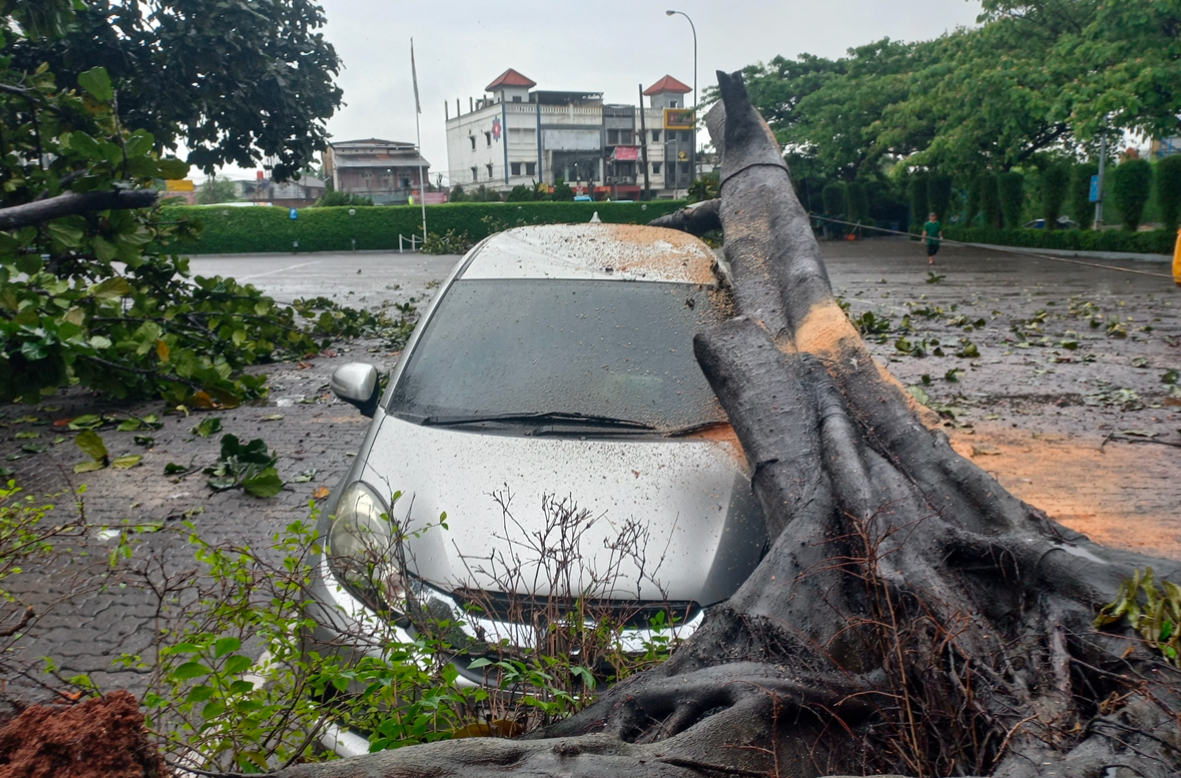 Akibat Hujan Deras di Tangerang, Sebuah Mobil Mobilio Tertimpa Pohon Tumbang 